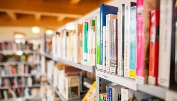 Христианский книжный магазин: «Закон штата Колорадо принуждает нас принять ЛГБТ-идеологию»